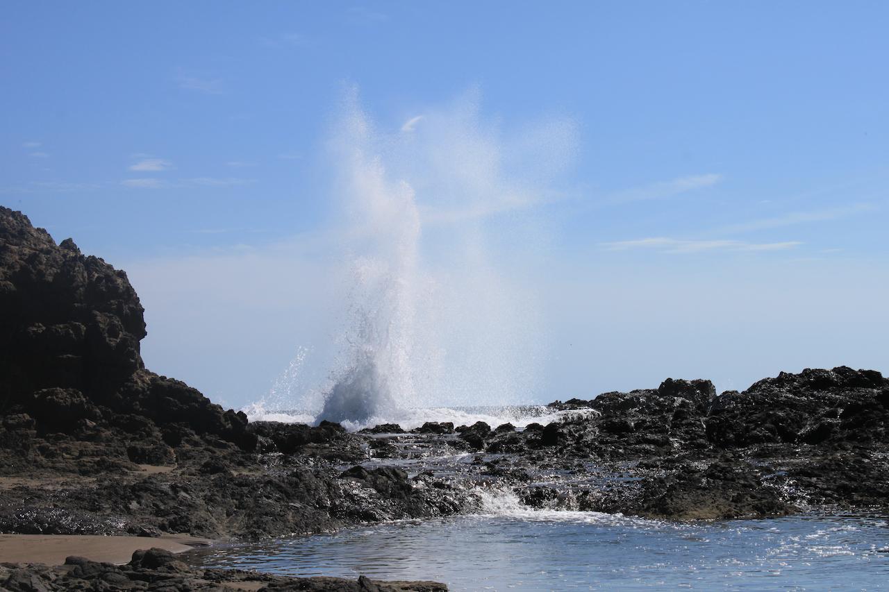 Punta Duarte Garden Inn Los Duarte ภายนอก รูปภาพ