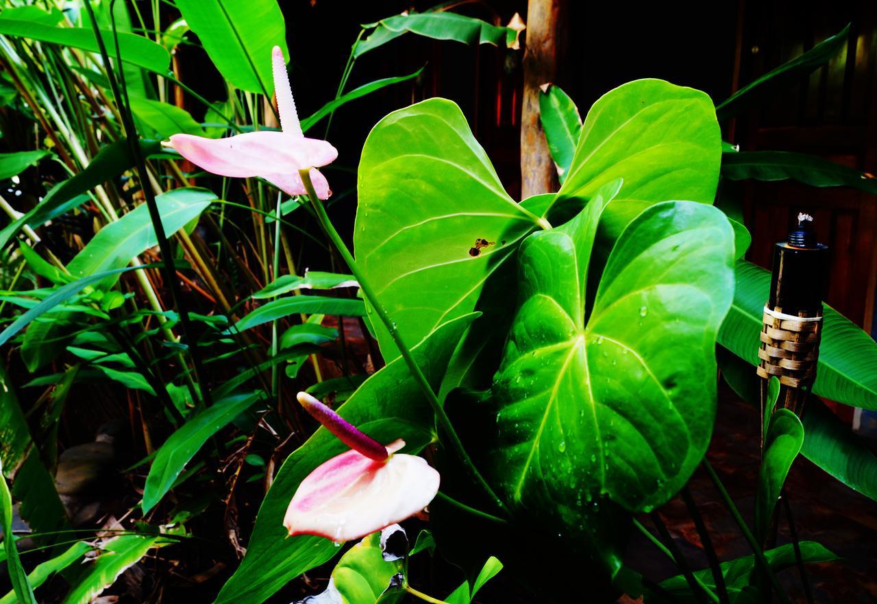 Punta Duarte Garden Inn Los Duarte ภายนอก รูปภาพ