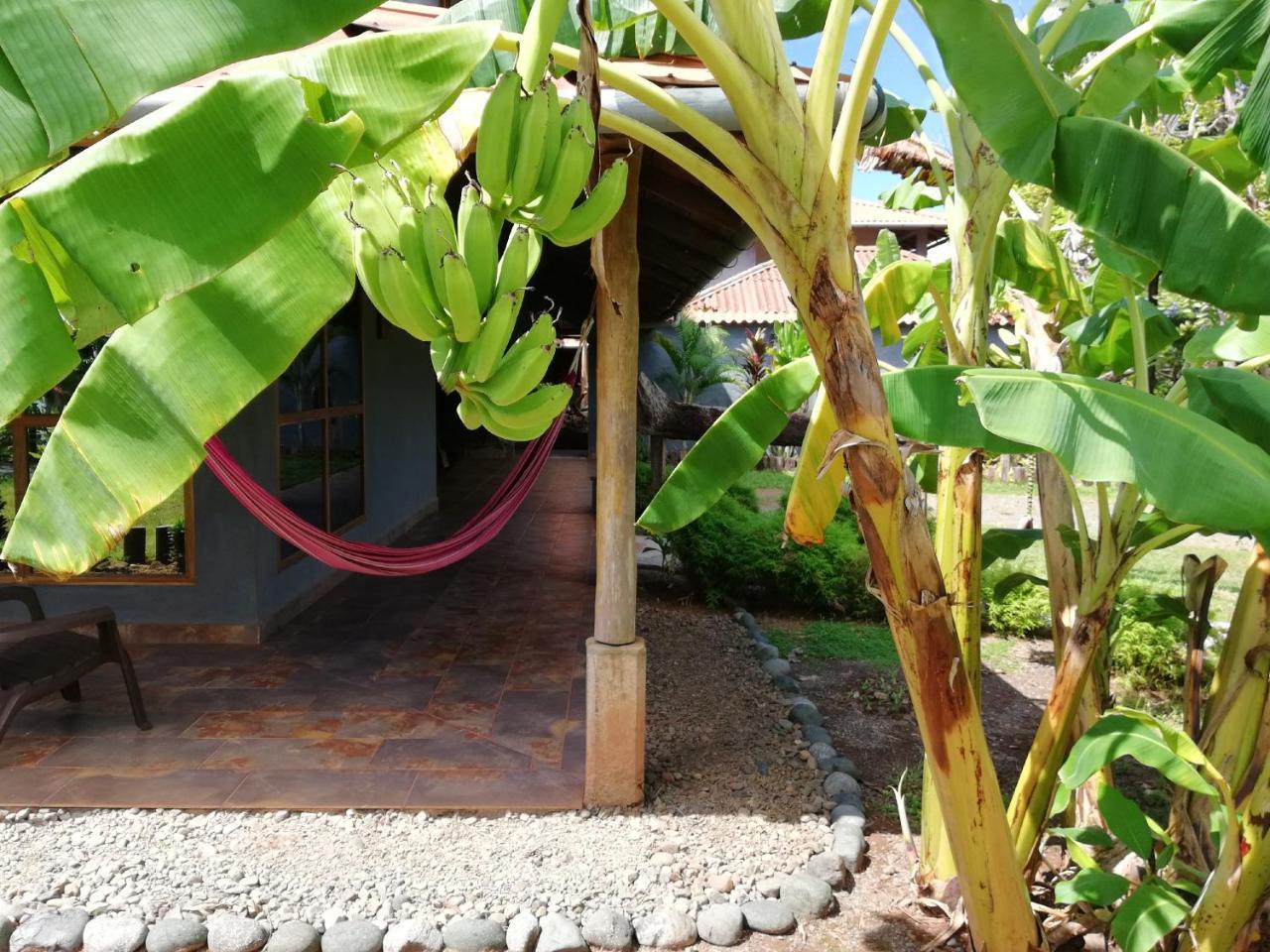 Punta Duarte Garden Inn Los Duarte ภายนอก รูปภาพ